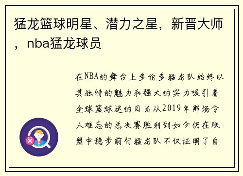 猛龙篮球明星、潜力之星，新晋大师，nba猛龙球员